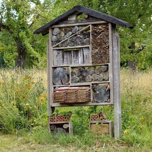 Biodiversitätshotspots